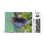 Swallowtail Butterfly Stamp