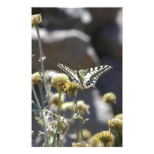 Swallowtail butterfly stationery design