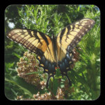 Swallowtail Butterfly Sticker