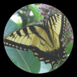 Swallowtail Butterfly Sticker