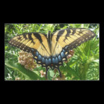 Swallowtail Butterfly Sticker