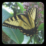 Swallowtail Butterfly Sticker