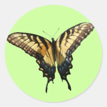 Swallowtail Butterfly Sticker