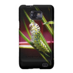 Swallowtail Caterpillar Samsung Galaxy S2 Covers
