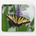 Swallowtail Mousepad