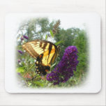 Swallowtail on butterfly bush mouse pads