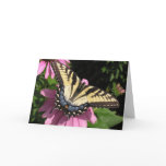 Swallowtail on Echinacea Greeting Card