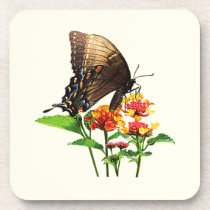Swallowtail on Orange Lantana cork coasters