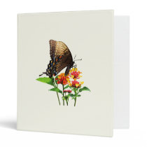 Swallowtail on Orange Lantana binders