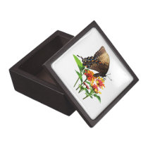 Swallowtail on Orange Lantana premium gift boxes