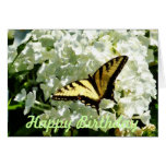 Swallowtail on White Hydrangea - Birthday Greeting Card