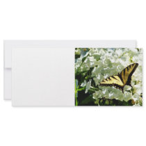 Swallowtail on White Hydrangea Rack Card