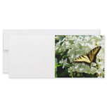 Swallowtail on White Hydrangea Rack Card