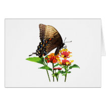 Swallowtail Orange Lantana cards by SusanSavad Swallowtail Orange Lantana cards