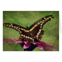 Swallowtail poised to fly cards by mrsmas Swallowtail poised to fly cards