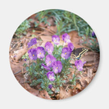 Swallowtail & Viola Magnet