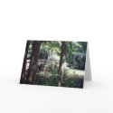 Swamp Bridge cards by RLMdesignes Swamp Bridge cards