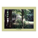 Swamp Bridge posters