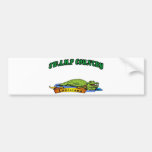 Swamp Country Louisiana Bumper Stickers