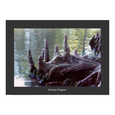 Swamp Dragon Print by RLMdesignes