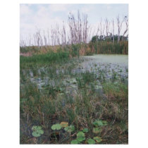Swamp environment personalized flyer