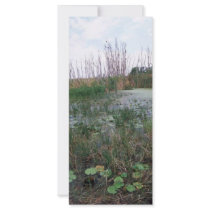 Swamp environment rack cards by animalpark Swamp environment rack cards