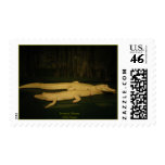 Swamp Ghosts Postage Stamps