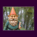 Swamp Gnome Postcard