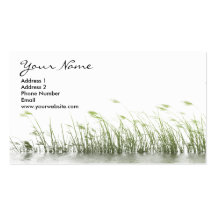 Swamp Grass Business Cards