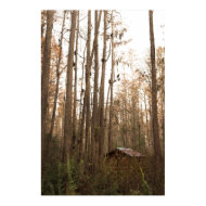 Swamp Hut print