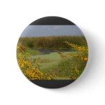 Swamp In Louisiana buttons
