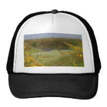 Swamp In Louisiana Hats