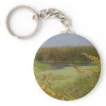 Swamp In Louisiana Keychain