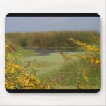 Swamp In Louisiana mousepads