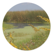 Swamp In Louisiana stickers by lifesphere Swamp In Louisiana stickers