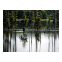 Swamp land posters by iiiyaaa Swamp land posters