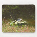 Swamp Mousepads
