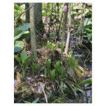 Swamp pink growing in a wetland habitat flyer design