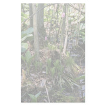 Swamp pink growing in a wetland habitat stationery