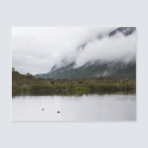 Swamp postcards