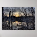 Swamp posters