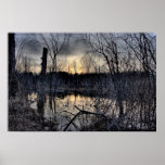 Swamp Posters