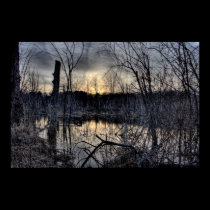 Swamp posters