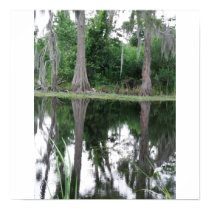 Swamp Reflection in Louisiana posters by afremin Swamp Reflection in Louisiana posters
