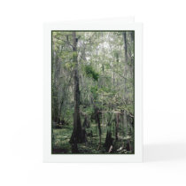 Swamp Serenity Greeting Card