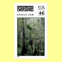 Swamp Serenity Stamp