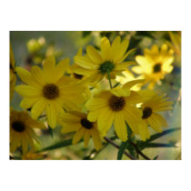 Swamp Sunflower 2 posters by littlewingdesign Swamp Sunflower 2 posters