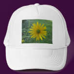 Swamp Sunflower Green Center hats