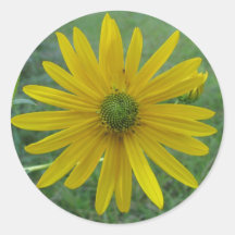 Swamp Sunflower Green Center Round Stickers