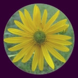 Swamp Sunflower Green Center stickers